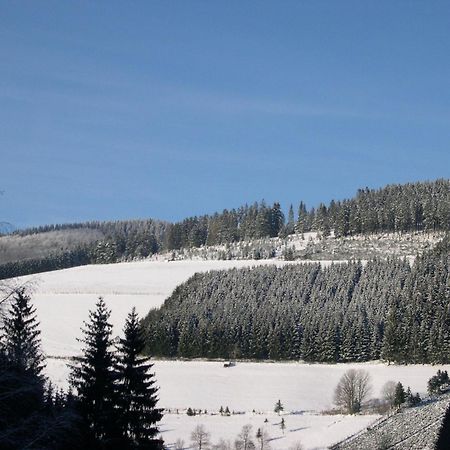 Ferienwohnung Haus Wald-Eck Schmallenberg Exterior foto