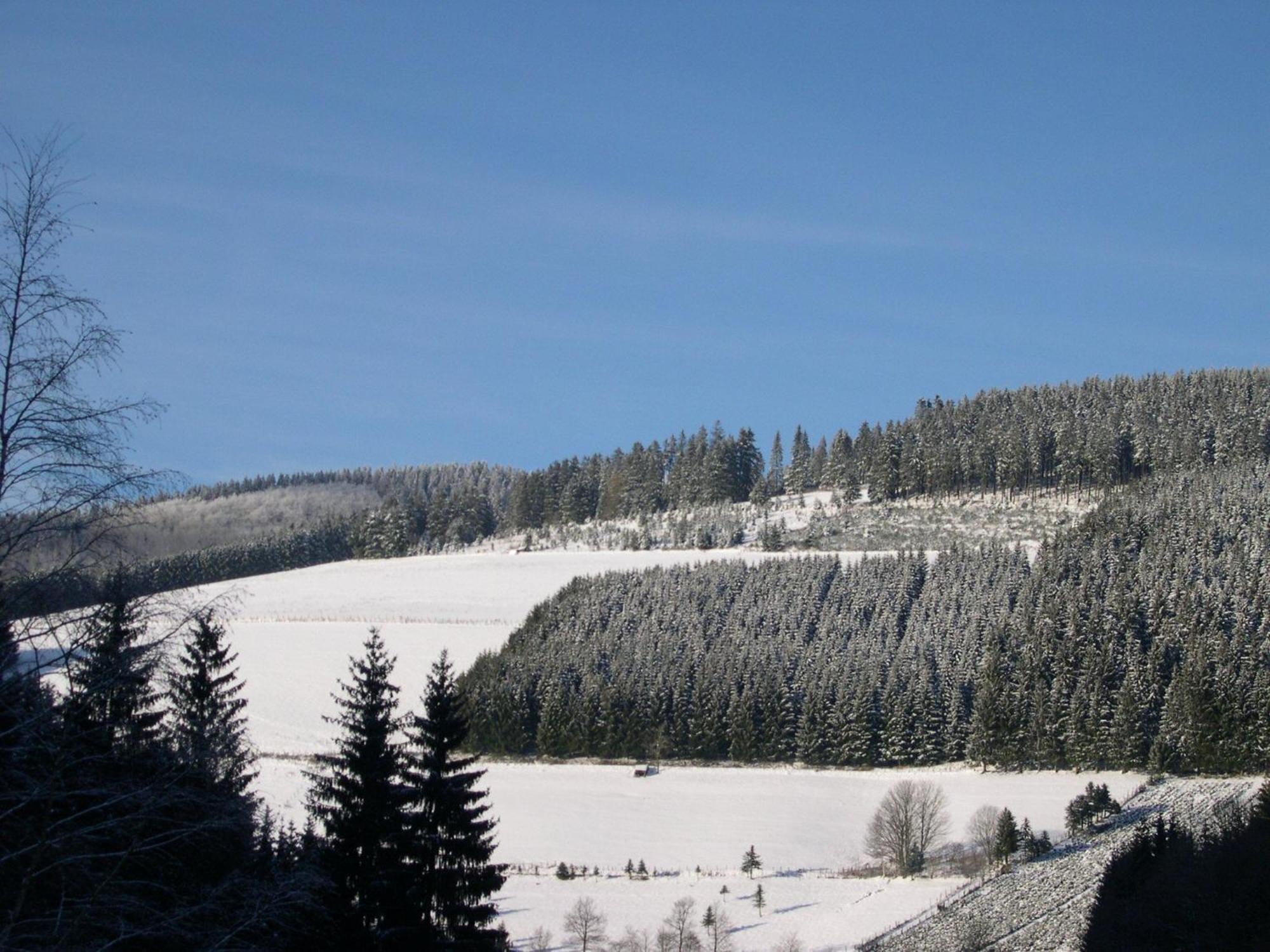 Ferienwohnung Haus Wald-Eck Schmallenberg Exterior foto